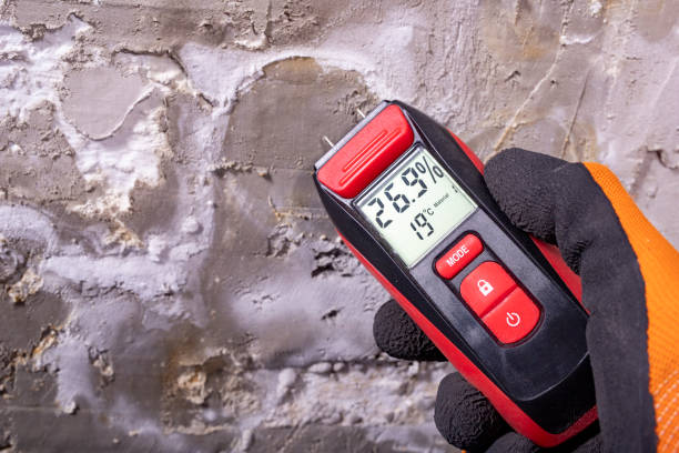 Best Toxic Mold Removal  in Deming, NM