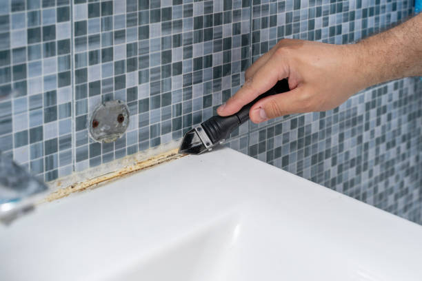 Best Fast Mold Removal  in Deming, NM