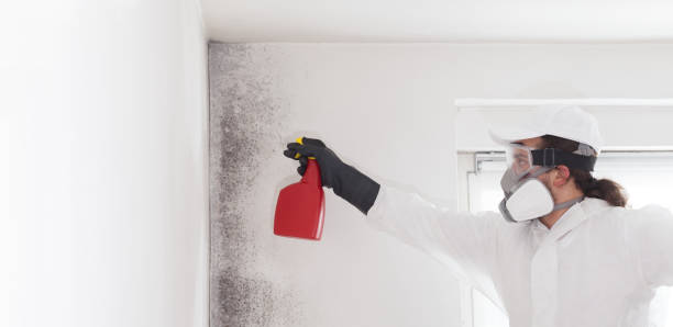 Best Mold Testing  in Deming, NM